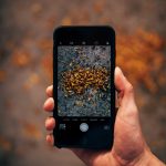 Masculine hand holds a large iPhone showing a pile of autumn leaves in the viewfinder.