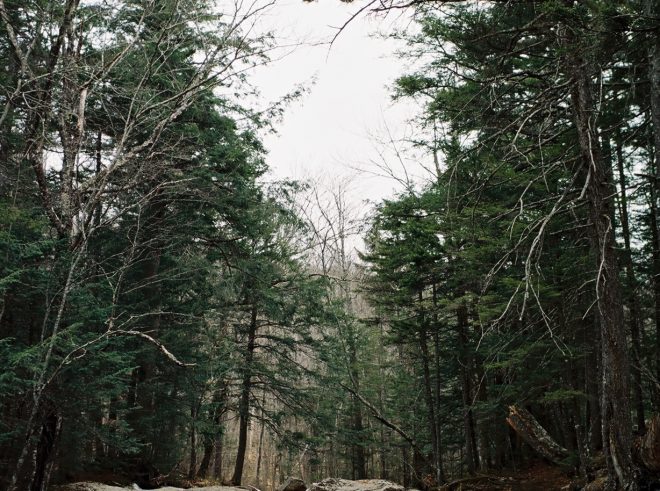 A river running over large rocks in Franconia State Park.