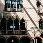 Shadows cast on the walls of the courtyard in the Isabella Stewart Gardner Museum