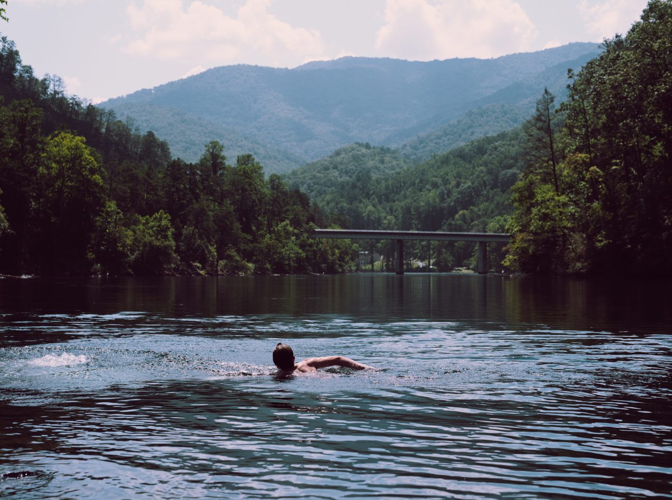 Ford swims across the river just south of the Fontana Dam.