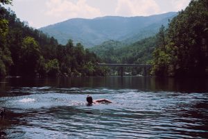 Ford swims across the river just south of the Fontana Dam.