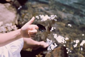 Alyssa holds a butterfly close to Fontana Dam waiting for totality.
